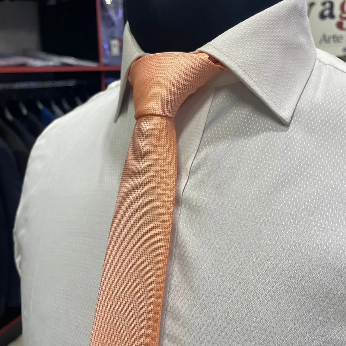 Corbata de Seda 48