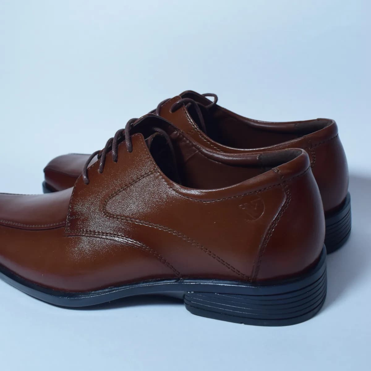 Zapato de Cuero 02